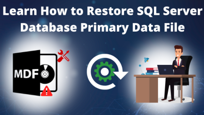 SQL Server database primary data file